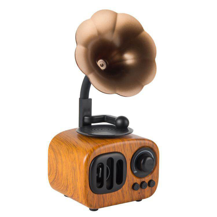 Gramophone speaker - BudgetSpender