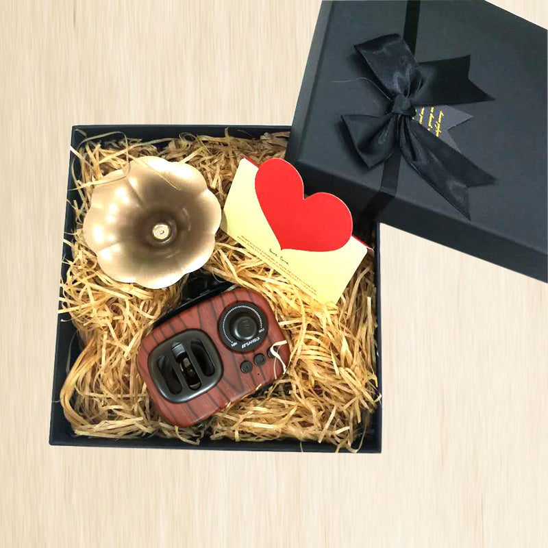 Gramophone speaker - BudgetSpender