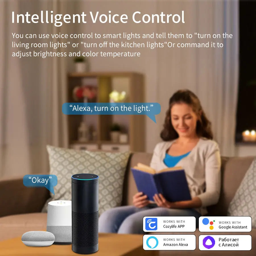Smart WiFi LED Ceiling Light 24W – App & Voice Control, Round Panel, Works with Alexa & Google Home - BudgetSpender