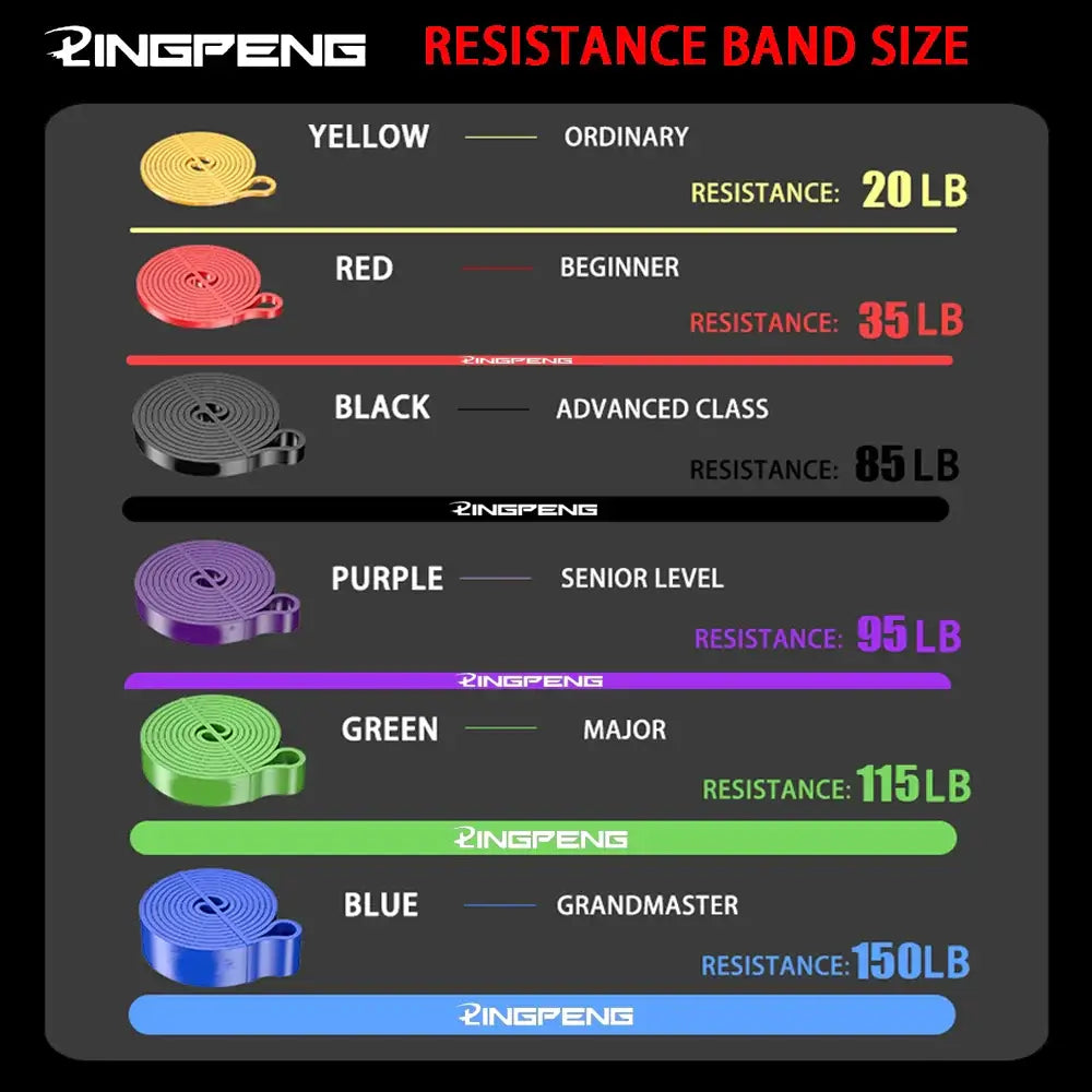 Premium Resistance Bands Set – Total Body Strength for Every Level - BudgetSpender