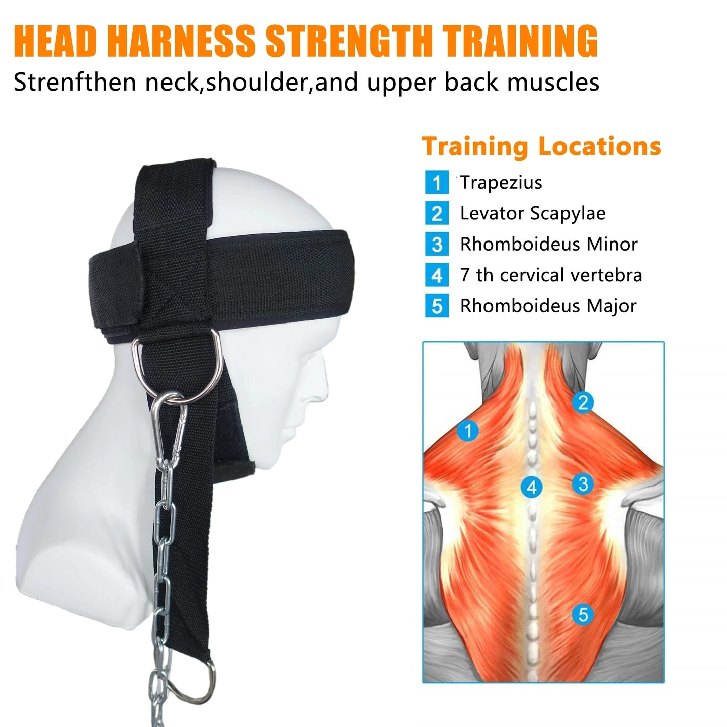 Neck Strength Training Harness for MMA, Boxing & Weightlifting - BudgetSpender