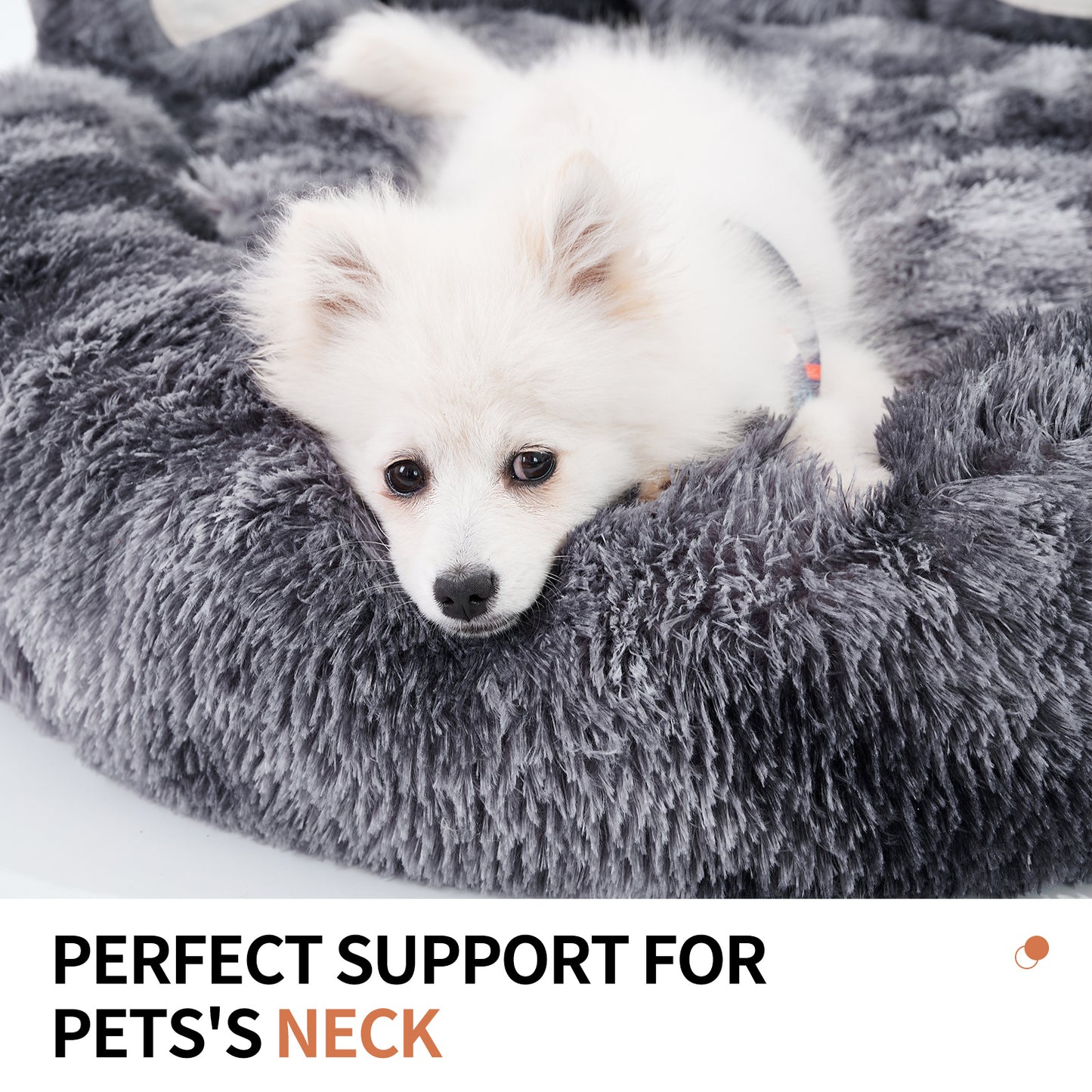Bear Paw Dog Bed – Adorably Cozy Haven for Small & Medium Pets - BudgetSpender