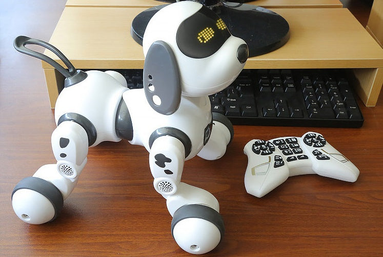 Decatur Walking and Talking Toy – Interactive Anime Character with Remote Control - BudgetSpender