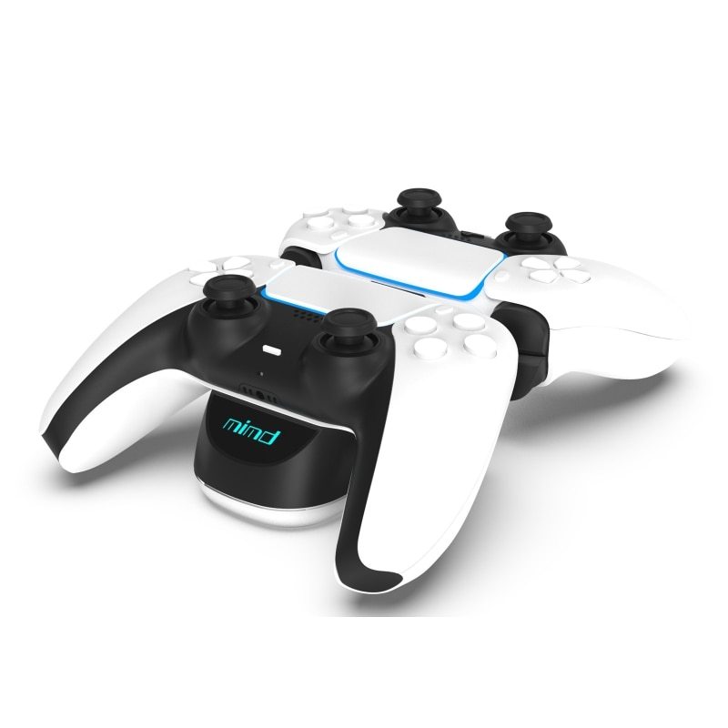 Dual Charger Dock for PS5 Wireless Controller | Fast Charging Dock with LED Indicator - BudgetSpender