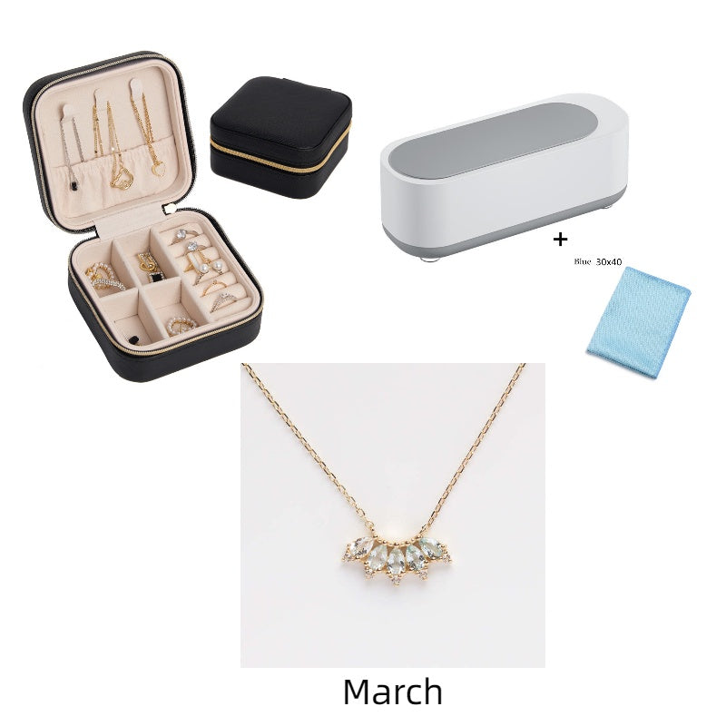 Ultrasonic Cleaning Machine High Frequency Vibration Wash Cleaner for Jewelry, Glasses, Watches & Dentures - BudgetSpender