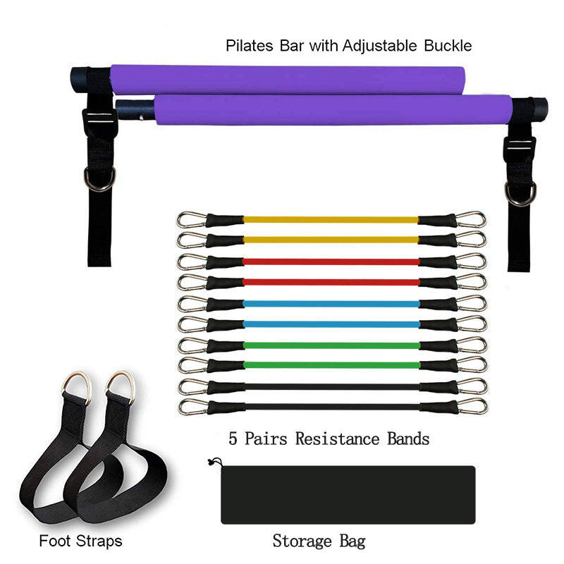 Elastic Resistance Puller Set – Fitness and Strength Training Bands for Full-Body Workouts - BudgetSpender