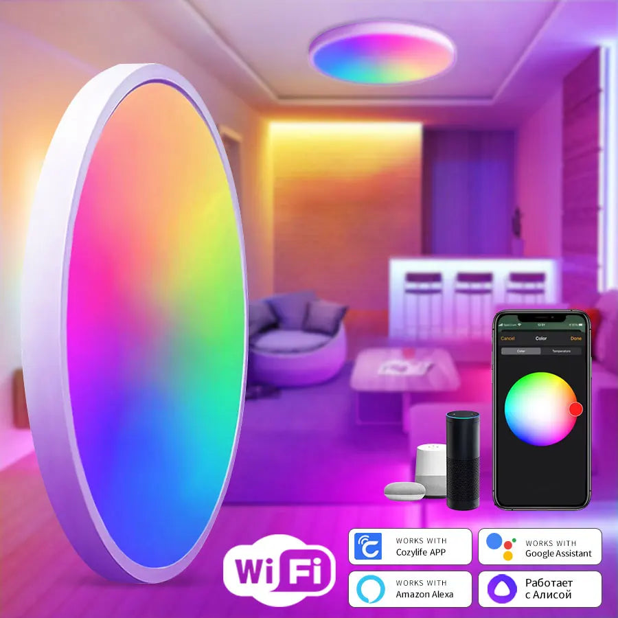 Smart WiFi LED Ceiling Light 24W – App & Voice Control, Round Panel, Works with Alexa & Google Home - BudgetSpender