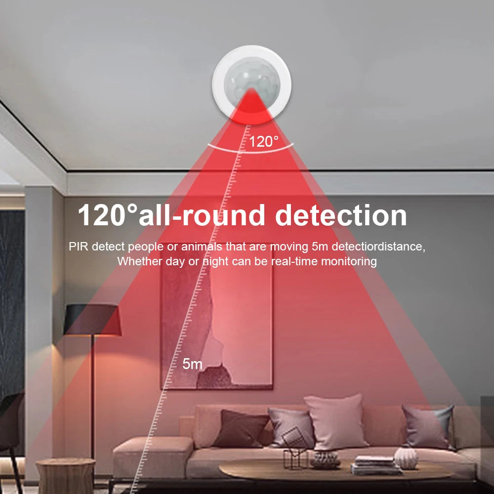 Smart Zigbee Motion Sensor for Home Security - BudgetSpender