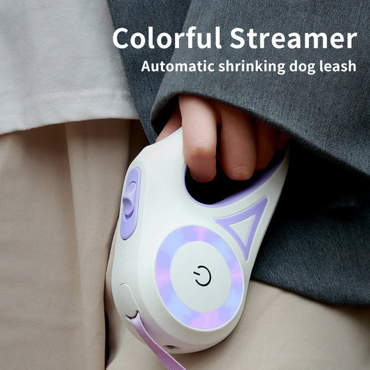 Retractable Dog Leash with Matching Collar – Auto Lock & Spotlight for Small & Medium Pets - BudgetSpender