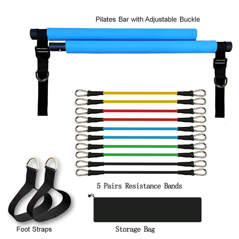 Elastic Resistance Puller Set – Fitness and Strength Training Bands for Full-Body Workouts - BudgetSpender